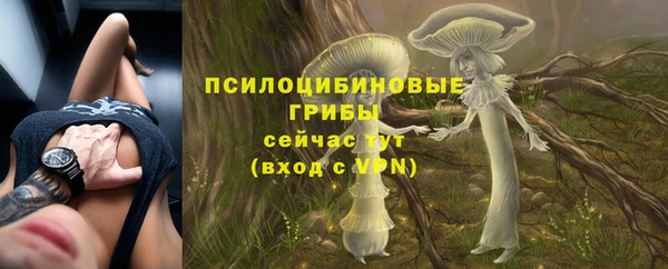 крисы Заволжск