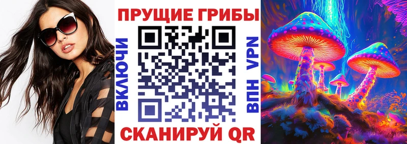 даркнет сайт  Севск  кракен рабочий сайт  Галлюциногенные грибы мухоморы 